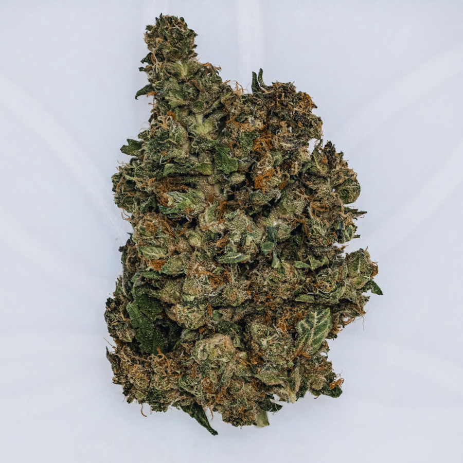 Wedding Cake (Hybrid) THC 26.5%