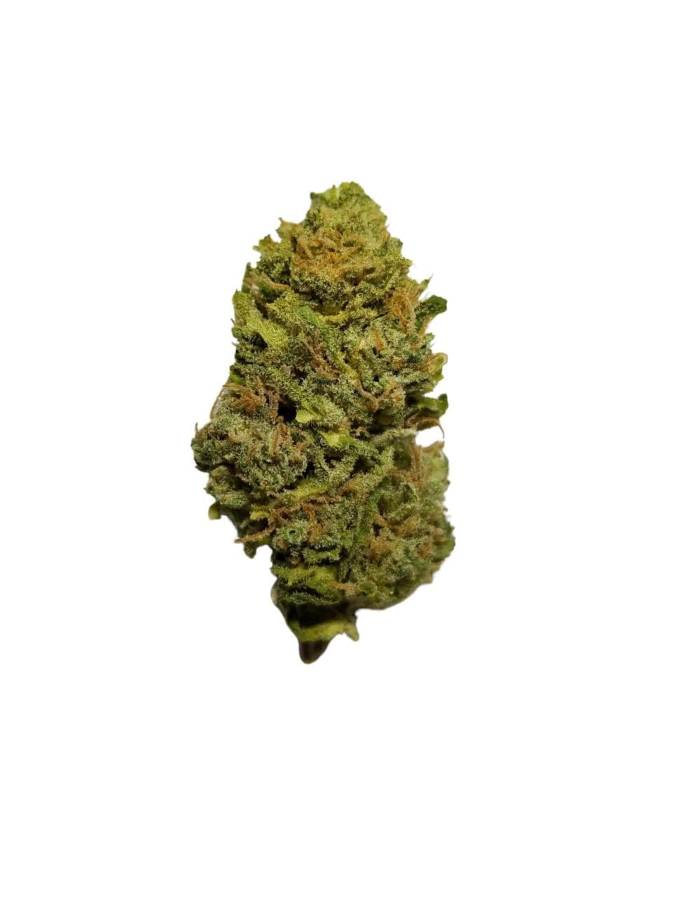 Northern Lights (Indica) THC 29%