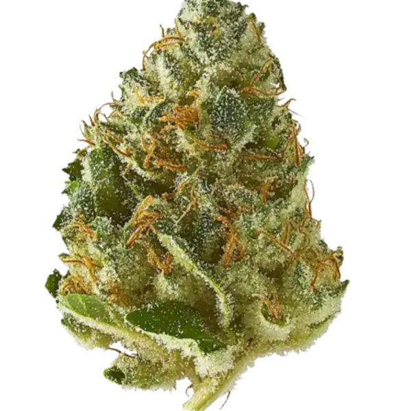 Strawberry Cough (Sativa) THC 28.6%