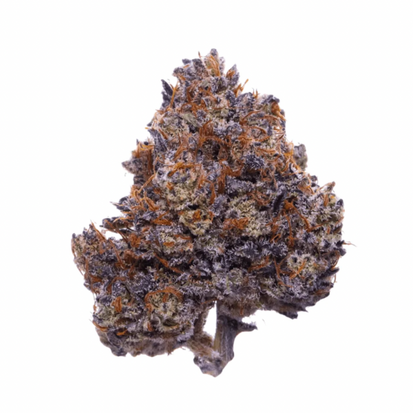 Purple Haze sativa
